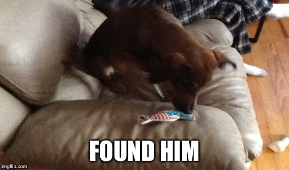 FOUND HIM | image tagged in memes | made w/ Imgflip meme maker