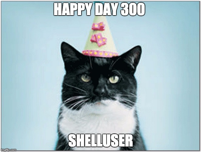 HAPPY DAY 300 SHELLUSER | image tagged in cat party hat | made w/ Imgflip meme maker