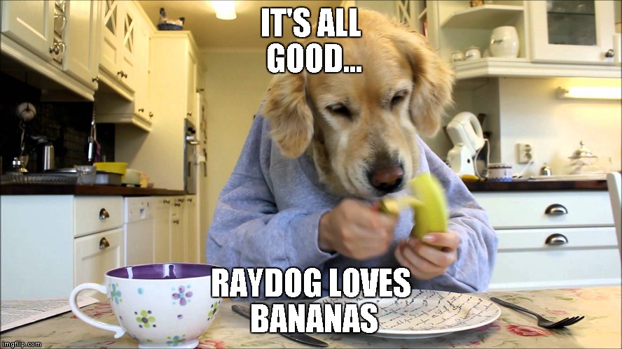 Banana Dog | IT'S ALL GOOD... RAYDOG LOVES BANANAS | image tagged in banana dog | made w/ Imgflip meme maker