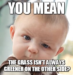Skeptical Baby Meme | YOU MEAN THE GRASS ISN'T ALWAYS GREENER ON THE OTHER SIDE? | image tagged in memes,skeptical baby | made w/ Imgflip meme maker