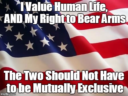American flag | I Value Human Life, AND My Right to Bear Arms The Two Should Not Have to be Mutually Exclusive | image tagged in american flag | made w/ Imgflip meme maker