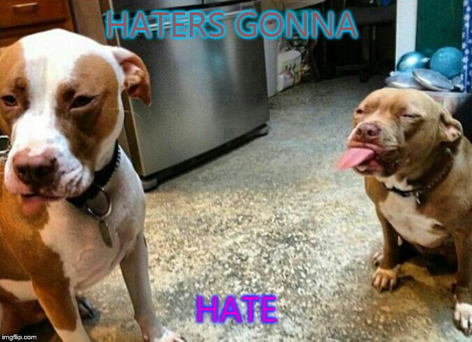 Haters gonna hate | HATERS GONNA HATE | image tagged in haters gonna hate | made w/ Imgflip meme maker
