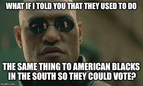 Matrix Morpheus Meme | WHAT IF I TOLD YOU THAT THEY USED TO DO THE SAME THING TO AMERICAN BLACKS IN THE SOUTH SO THEY COULD VOTE? | image tagged in memes,matrix morpheus | made w/ Imgflip meme maker