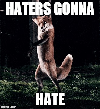 foxy | HATERS GONNA HATE | image tagged in funny | made w/ Imgflip meme maker