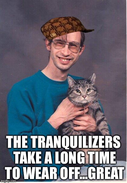 cat-nerd | THE TRANQUILIZERS TAKE A LONG TIME TO WEAR OFF...GREAT | image tagged in cat-nerd,scumbag | made w/ Imgflip meme maker
