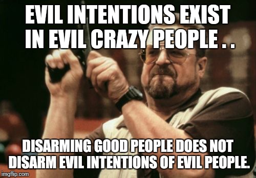 Am I The Only One Around Here Meme | EVIL INTENTIONS EXIST IN EVIL CRAZY PEOPLE . . DISARMING GOOD PEOPLE DOES NOT DISARM EVIL INTENTIONS OF EVIL PEOPLE. | image tagged in memes,am i the only one around here | made w/ Imgflip meme maker