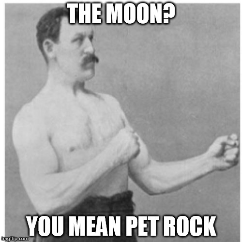Overly Manly Man | THE MOON? YOU MEAN PET ROCK | image tagged in memes,overly manly man | made w/ Imgflip meme maker