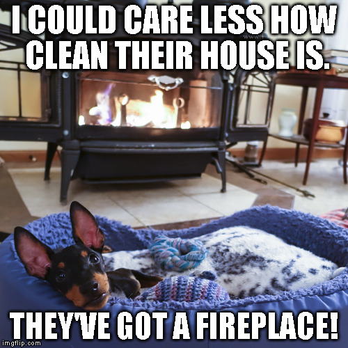 Clean House | I COULD CARE LESS HOW CLEAN THEIR HOUSE IS. THEY'VE GOT A FIREPLACE! | image tagged in pets,stoner dog,dogs | made w/ Imgflip meme maker