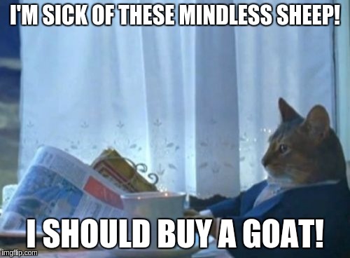 I Should Buy A Boat Cat | I'M SICK OF THESE MINDLESS SHEEP! I SHOULD BUY A GOAT! | image tagged in memes,i should buy a boat cat | made w/ Imgflip meme maker
