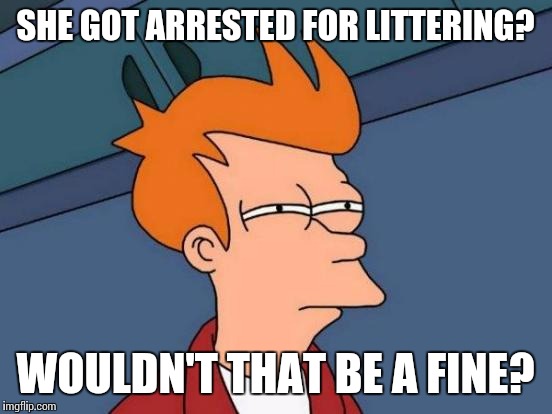 Futurama Fry Meme | SHE GOT ARRESTED FOR LITTERING? WOULDN'T THAT BE A FINE? | image tagged in memes,futurama fry | made w/ Imgflip meme maker