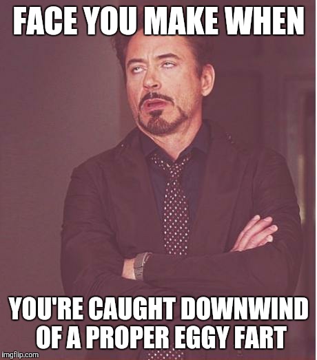 Face You Make Robert Downey Jr Meme | FACE YOU MAKE WHEN YOU'RE CAUGHT DOWNWIND OF A PROPER EGGY FART | image tagged in memes,face you make robert downey jr | made w/ Imgflip meme maker