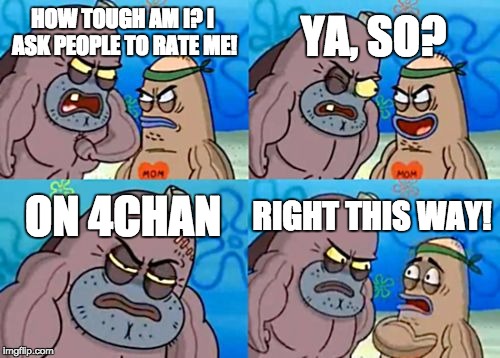 How Tough Are You | HOW TOUGH AM I? I ASK PEOPLE TO RATE ME! YA, SO? ON 4CHAN RIGHT THIS WAY! | image tagged in memes,how tough are you | made w/ Imgflip meme maker