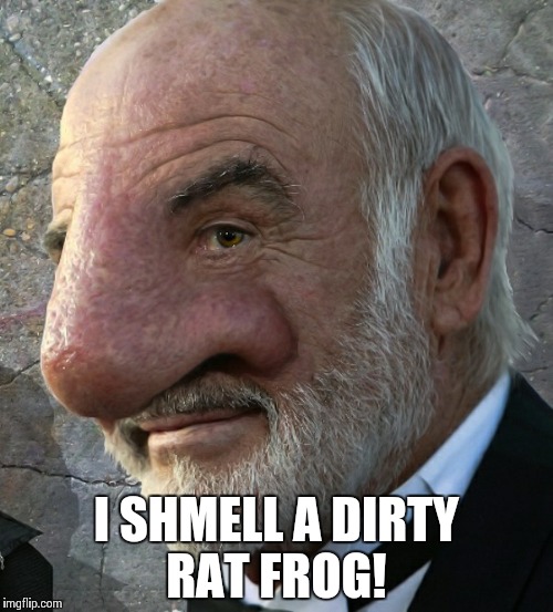 Sean Connery nose close up | I SHMELL A DIRTY RAT FROG! | image tagged in sean connery nose close up | made w/ Imgflip meme maker