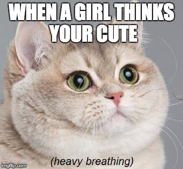 Heavy Breathing Cat Meme | WHEN A GIRL THINKS YOUR CUTE | image tagged in memes,heavy breathing cat | made w/ Imgflip meme maker