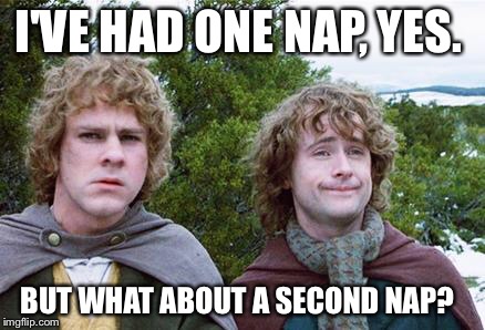 Second Breakfast | I'VE HAD ONE NAP, YES. BUT WHAT ABOUT A SECOND NAP? | image tagged in second breakfast,AdviceAnimals | made w/ Imgflip meme maker