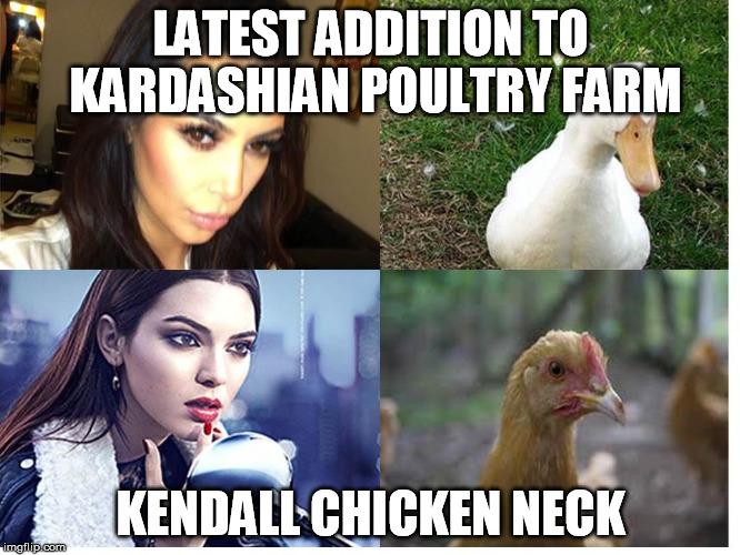 LATEST ADDITION TO KARDASHIAN POULTRY FARM KENDALL CHICKEN NECK | image tagged in kardashian | made w/ Imgflip meme maker