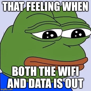pepe | THAT FEELING WHEN BOTH THE WIFI AND DATA IS OUT | image tagged in pepe | made w/ Imgflip meme maker