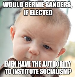 This just sounds like scare tactics to me.  | WOULD BERNIE SANDERS, IF ELECTED EVEN HAVE THE AUTHORITY TO INSTITUTE SOCIALISM? | image tagged in memes,skeptical baby,socialism,bernie sanders | made w/ Imgflip meme maker
