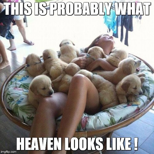 THIS IS PROBABLY WHAT HEAVEN LOOKS LIKE ! | image tagged in heaven | made w/ Imgflip meme maker