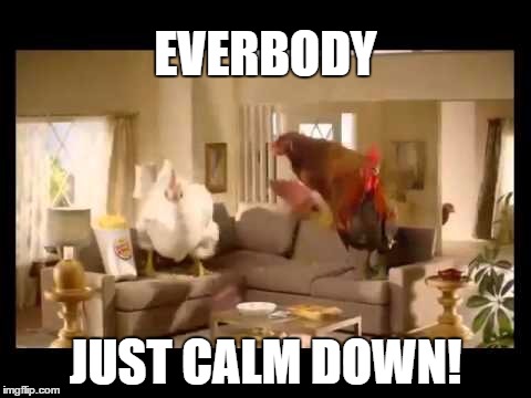 Calm Down! | EVERBODY JUST CALM DOWN! | image tagged in funny memes | made w/ Imgflip meme maker