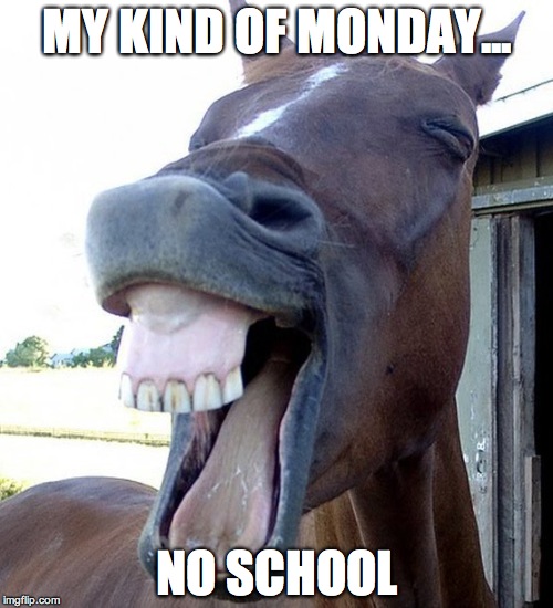 Funny Horse Face | MY KIND OF MONDAY... NO SCHOOL | image tagged in funny horse face | made w/ Imgflip meme maker
