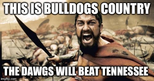 Sparta Leonidas Meme | THIS IS BULLDOGS COUNTRY THE DAWGS WILL BEAT TENNESSEE | image tagged in memes,sparta leonidas | made w/ Imgflip meme maker