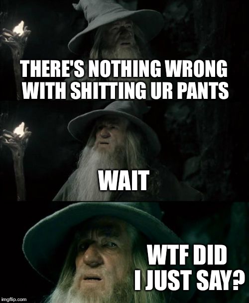 Confused Gandalf Meme | THERE'S NOTHING WRONG WITH SHITTING UR PANTS WAIT WTF DID I JUST SAY? | image tagged in memes,confused gandalf | made w/ Imgflip meme maker