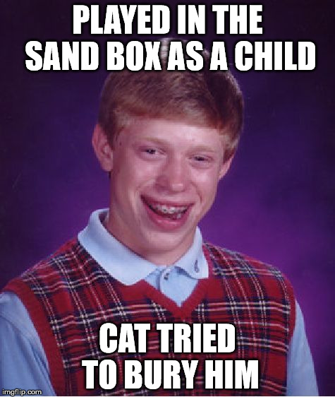 Bad Luck Brian Meme | PLAYED IN THE SAND BOX AS A CHILD CAT TRIED TO BURY HIM | image tagged in memes,bad luck brian | made w/ Imgflip meme maker