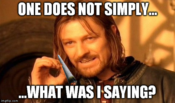 One Does Not Simply | ONE DOES NOT SIMPLY... ...WHAT WAS I SAYING? | image tagged in memes,one does not simply | made w/ Imgflip meme maker