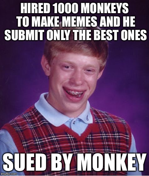 Bad Luck Brian Meme | HIRED 1000 MONKEYS TO MAKE MEMES AND HE SUBMIT ONLY THE BEST ONES SUED BY MONKEY | image tagged in memes,bad luck brian | made w/ Imgflip meme maker