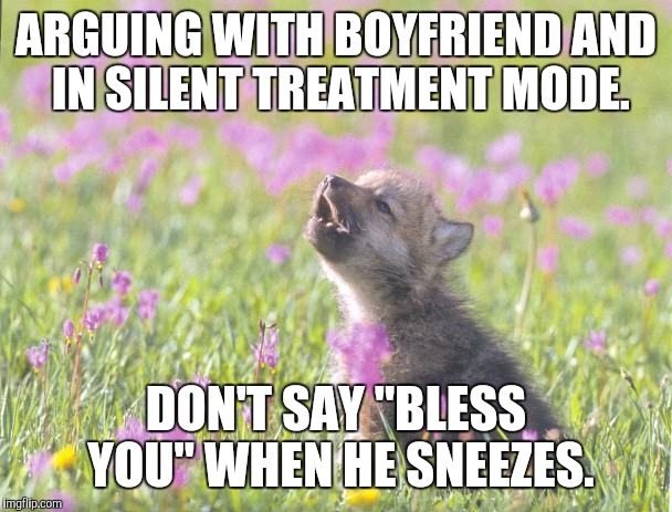 Baby Insanity Wolf Meme | ARGUING WITH BOYFRIEND AND IN SILENT TREATMENT MODE. DON'T SAY "BLESS YOU" WHEN HE SNEEZES. | image tagged in memes,baby insanity wolf,funny | made w/ Imgflip meme maker