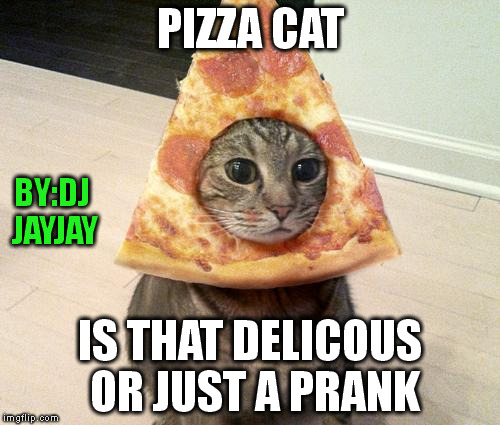 PIZZA CAT | PIZZA CAT IS THAT DELICOUS OR JUST A PRANK BY:DJ JAYJAY | image tagged in pizza cat | made w/ Imgflip meme maker