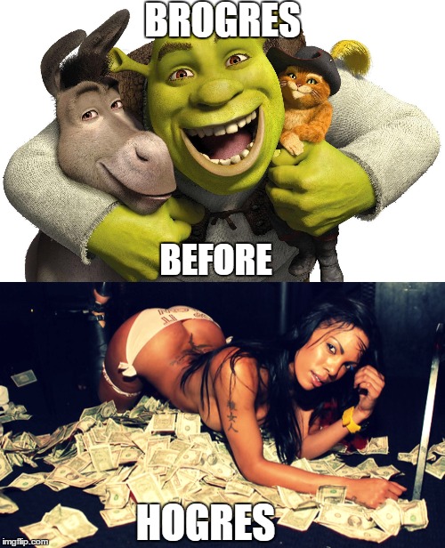 Brogres > Hogres | BROGRES HOGRES BEFORE | image tagged in shrek,donkey from shrek,puss in boots,hoe,funny,memes | made w/ Imgflip meme maker