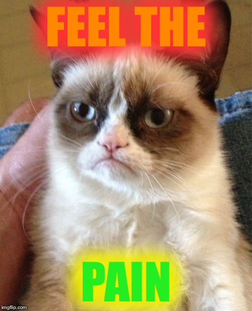 Grumpy Cat Meme | FEEL THE PAIN | image tagged in memes,grumpy cat | made w/ Imgflip meme maker