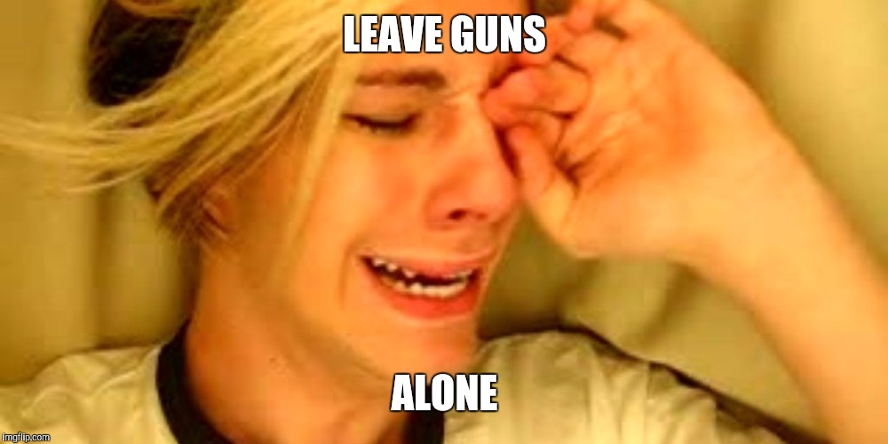 Leave Britney Alone | LEAVE GUNS ALONE | image tagged in leave britney alone | made w/ Imgflip meme maker