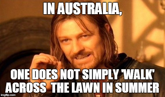 One Does Not Simply | IN AUSTRALIA, ONE DOES NOT SIMPLY 'WALK' ACROSS
 THE LAWN IN SUMMER | image tagged in memes,one does not simply | made w/ Imgflip meme maker