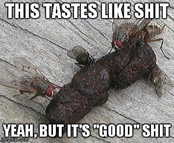 Flies On Shit | THIS TASTES LIKE SHIT YEAH, BUT IT'S "GOOD" SHIT | image tagged in flies on shit | made w/ Imgflip meme maker