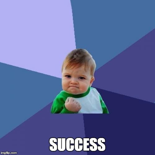 Success Kid Meme | SUCCESS | image tagged in memes,success kid | made w/ Imgflip meme maker