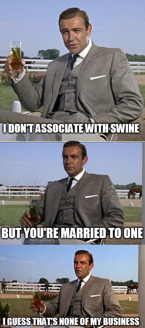 The Bond Conundrum | I DON'T ASSOCIATE WITH SWINE BUT YOU'RE MARRIED TO ONE I GUESS THAT'S NONE OF MY BUSINESS | image tagged in bad pun bond,memes,sean connery,kermit the frog | made w/ Imgflip meme maker