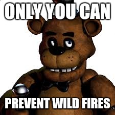 ONLY YOU CAN PREVENT WILD FIRES | image tagged in freddy | made w/ Imgflip meme maker