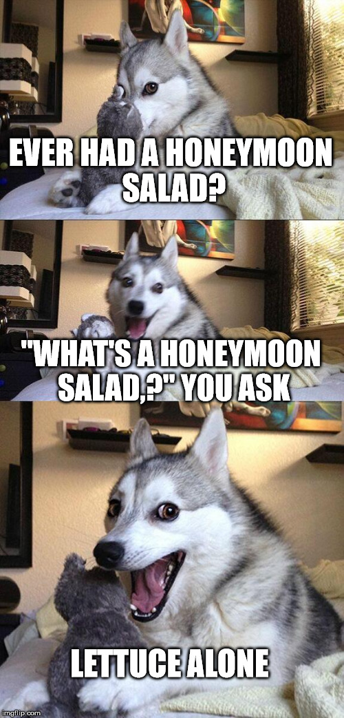 lettuce pun dog | EVER HAD A HONEYMOON SALAD? "WHAT'S A HONEYMOON SALAD,?" YOU ASK LETTUCE ALONE | image tagged in memes,bad pun dog | made w/ Imgflip meme maker