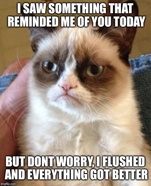 Grumpy Cat | I SAW SOMETHING THAT REMINDED ME OF YOU TODAY BUT DONT WORRY, I FLUSHED AND EVERYTHING GOT BETTER | image tagged in memes,grumpy cat | made w/ Imgflip meme maker