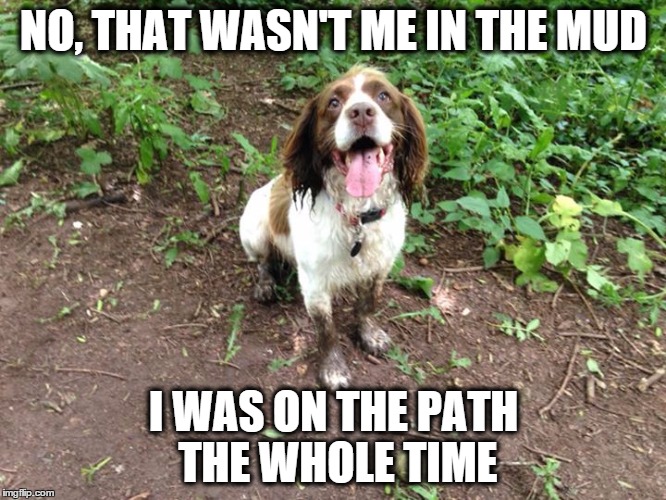 NO, THAT WASN'T ME IN THE MUD I WAS ON THE PATH THE WHOLE TIME | image tagged in rolo's feet | made w/ Imgflip meme maker