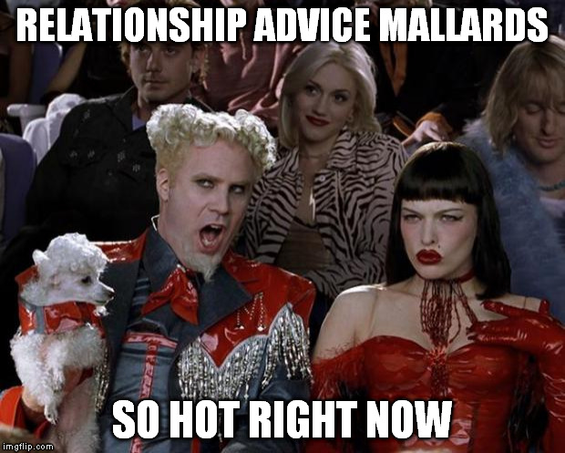 So many ducks, and they all know everything about women... | RELATIONSHIP ADVICE MALLARDS SO HOT RIGHT NOW | image tagged in memes,mugatu so hot right now | made w/ Imgflip meme maker