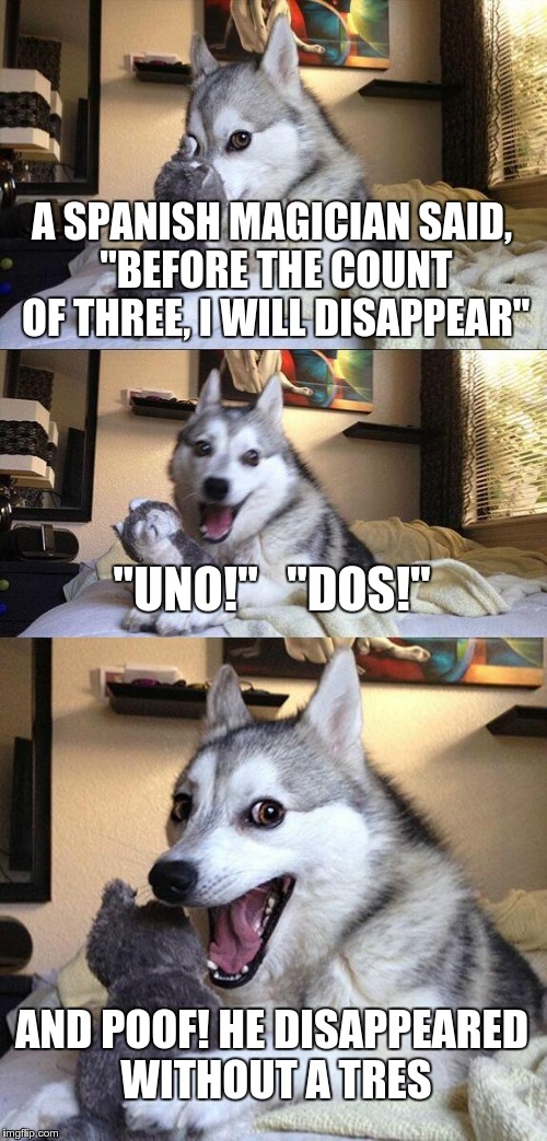 Bad Pun Dog | A SPANISH MAGICIAN SAID, "BEFORE THE COUNT OF THREE, I WILL DISAPPEAR" "UNO!"   "DOS!" AND POOF! HE DISAPPEARED WITHOUT A TRES | image tagged in memes,bad pun dog | made w/ Imgflip meme maker