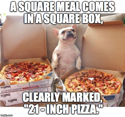 Pizza Dog | A SQUARE MEAL COMES IN A SQUARE BOX, CLEARLY MARKED, "21 - INCH PIZZA." | image tagged in pizza dog | made w/ Imgflip meme maker