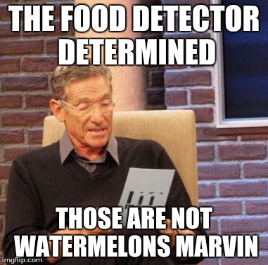 Maury Lie Detector Meme | THE FOOD DETECTOR DETERMINED THOSE ARE NOT WATERMELONS MARVIN | image tagged in memes,maury lie detector | made w/ Imgflip meme maker
