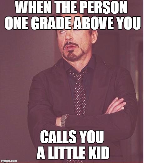 Face You Make Robert Downey Jr | WHEN THE PERSON ONE GRADE ABOVE YOU CALLS YOU A LITTLE KID | image tagged in memes,face you make robert downey jr | made w/ Imgflip meme maker