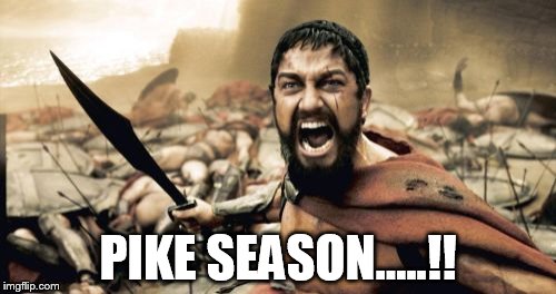 Sparta Leonidas | PIKE SEASON.....!! | image tagged in memes,sparta leonidas | made w/ Imgflip meme maker