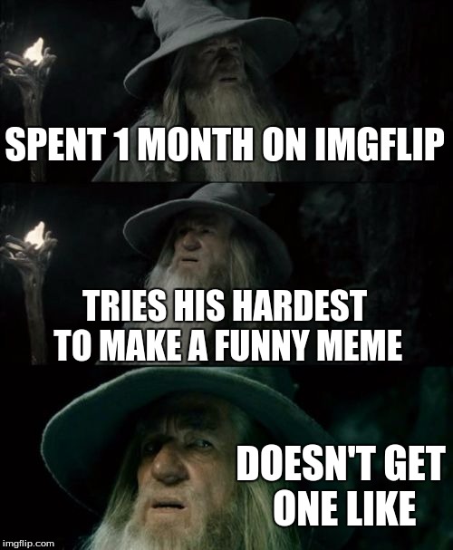 Confused Gandalf | SPENT 1 MONTH ON IMGFLIP TRIES HIS HARDEST TO MAKE A FUNNY MEME DOESN'T GET ONE LIKE | image tagged in memes,confused gandalf | made w/ Imgflip meme maker